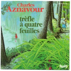 Pochette vinyl