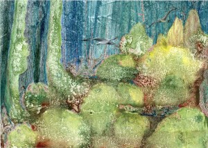 Forêt