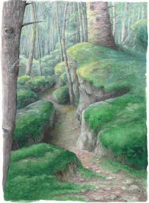 Forêt de Chorsin 1