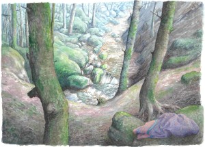 Forêt de Chorsin 4