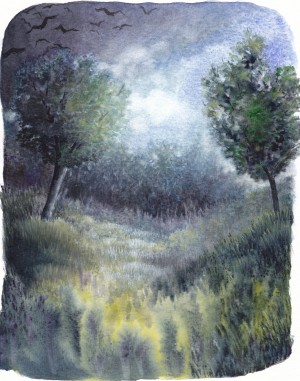 crépuscule 2