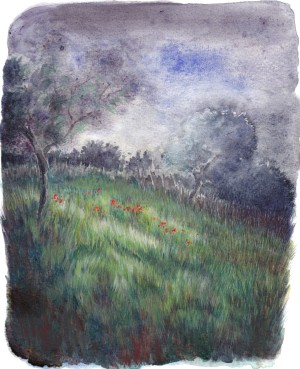 crépuscule 1
