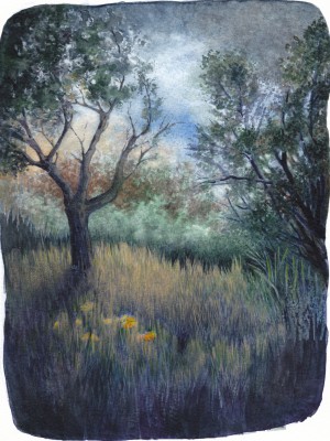 crépuscule 3